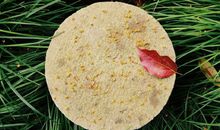 闻到桂花香的心情说说