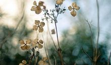 文艺的微博简介 微博简介文艺一句话