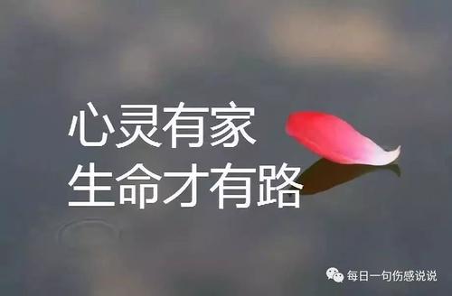 瞬间的朋友泪水谈大全