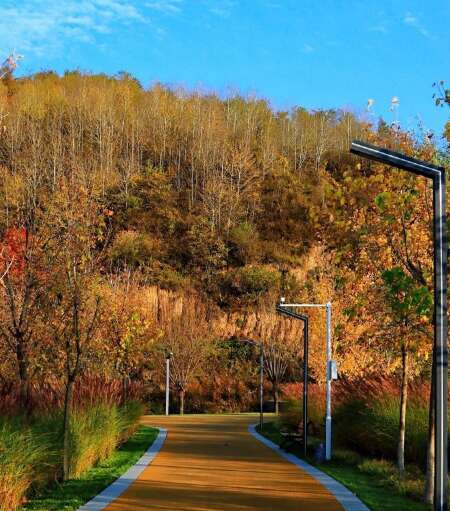 情绪特别愉快的句子保持快乐2