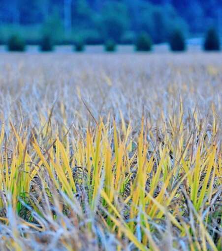 情绪特别愉快的句子保持快乐1