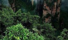 希望我每天都开心的句子