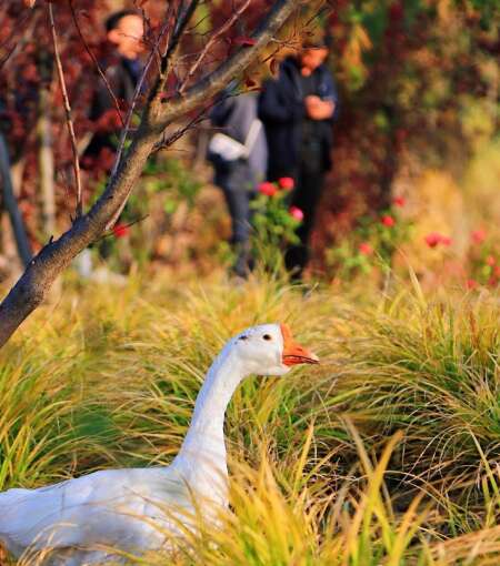 一句话让你感到高兴