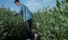 描写心里开心的好句子