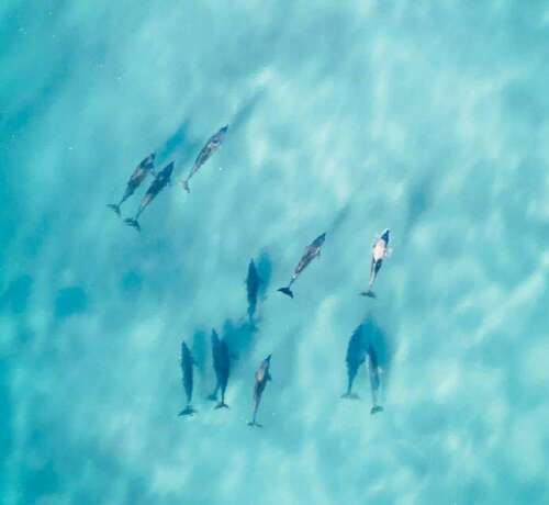 永远微笑的句子1