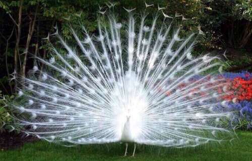 和孩子一起玩非常有趣的句子1