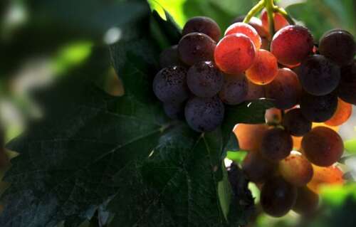 和孩子一起玩非常有趣的句子