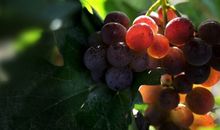 有孩子陪伴着玩真开心的句子