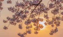 祝天天开心的文艺句子