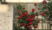 发快手的治愈系温柔短句