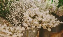 逗大家开心的句子