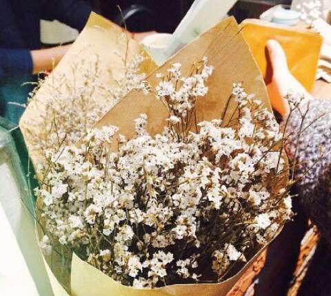 人们想快乐地生活