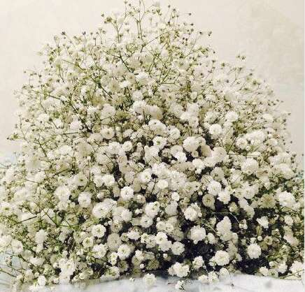 你每天用英语怎么说