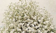 每天逗开心的句子英文怎么说