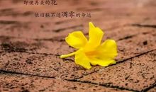 男生成熟经典语录说说