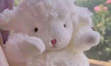 超级温柔的文案温柔文艺小短句