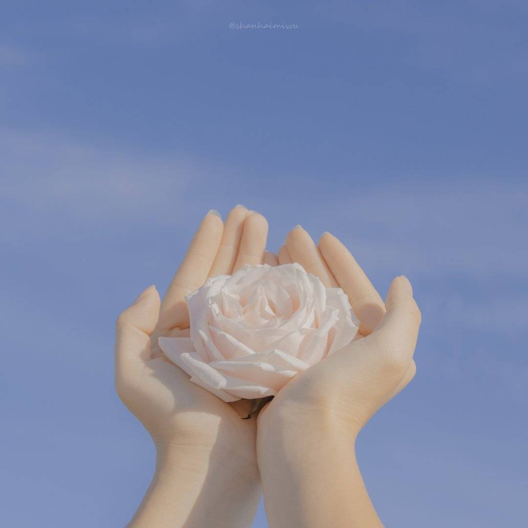 朋友圈阳光文案2