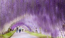 开心就身体健康的句子