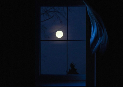 晚上看月亮的经典句子1