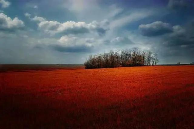 朋友时刻说晚安句子2