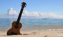 周末玩的开心的句子