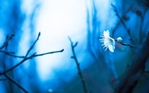 最幸福，最浪漫的幸福句子2