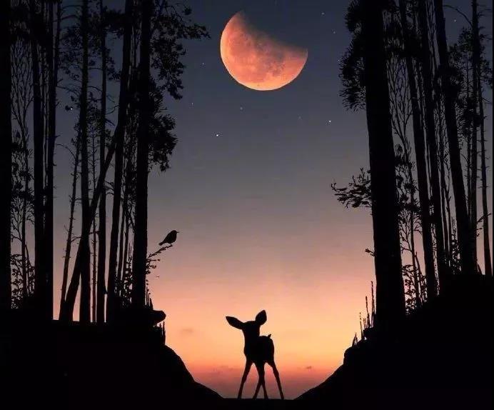 晚安心语正能量