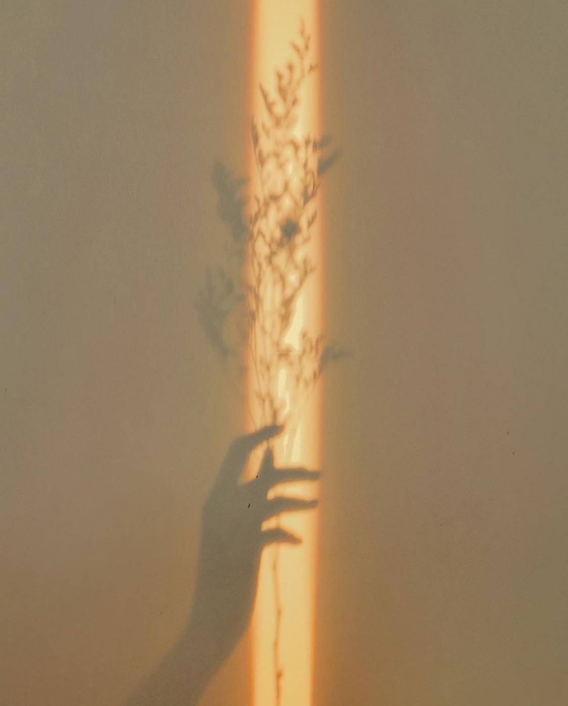 温柔的能量短语1