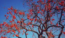 表示开心激动的句子