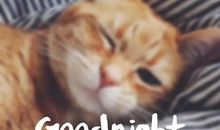 结束一天的心情短句