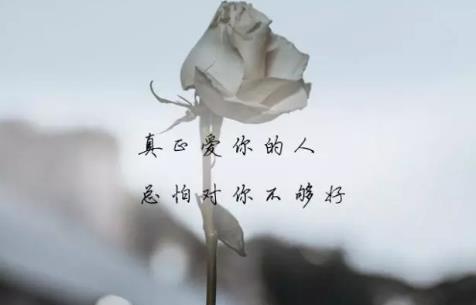 表达委屈的句子