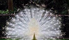 幼儿在一起开心的句子