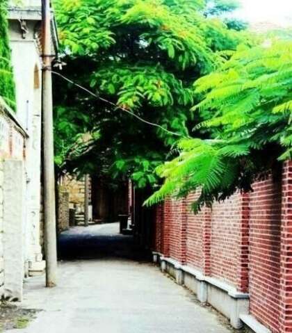 描述外出玩乐的句子