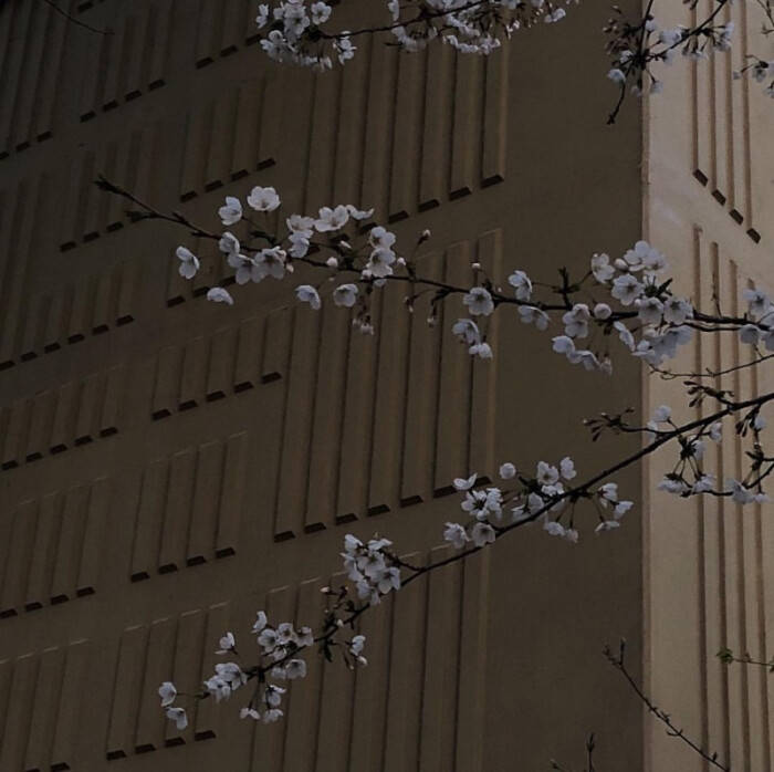 悲伤和痛苦的短句2