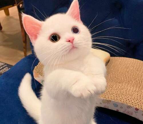 描述幸福生活的句子1