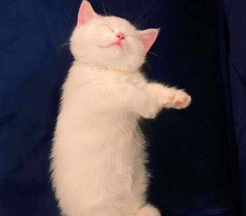 描述幸福生活的句子2