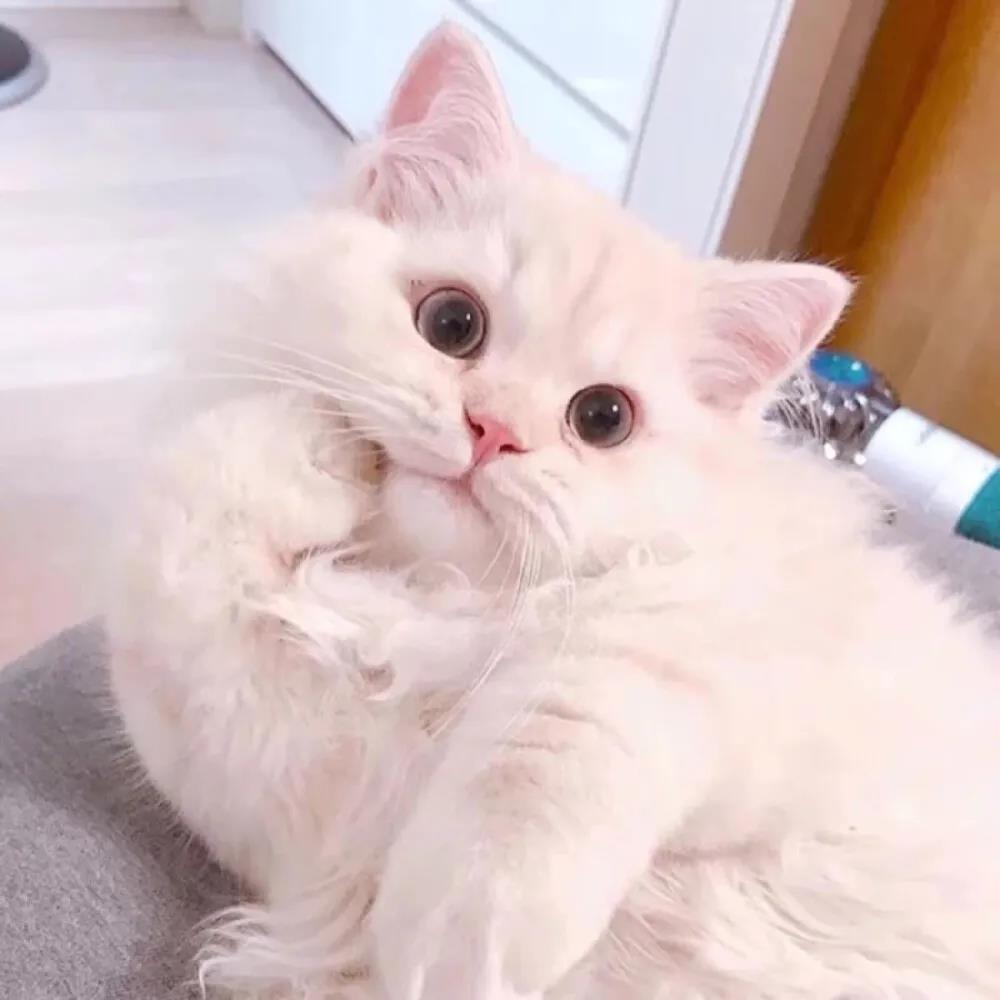 2020年的热门微信名称