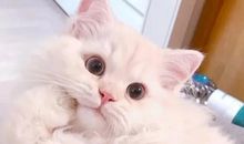 2020年流行的微信名称