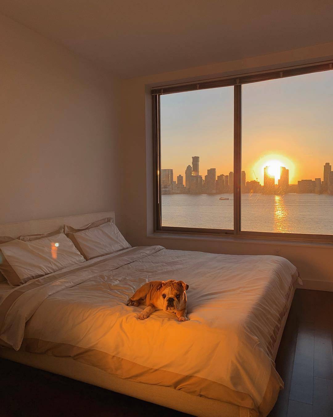 让人心痛的句子