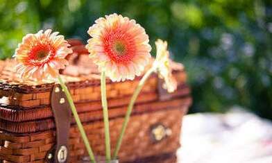 遗憾不听别人的句子1