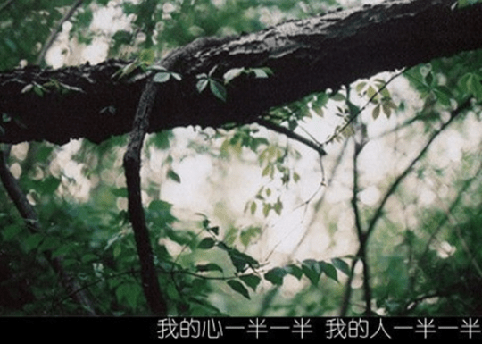 生活后悔一句话