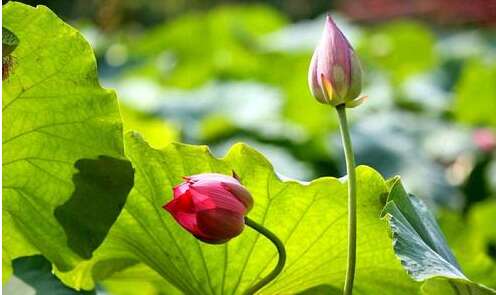 说一些让人们后悔的事情1