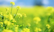 后悔爱上你的句子