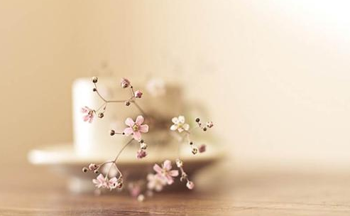 遗憾地爱上了你第2句话