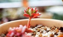 ins有格调的日常句子