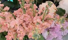 希望你开开心心的句子