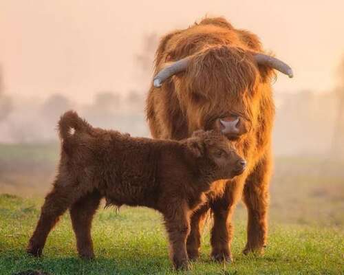 宝贝，祝你句快乐