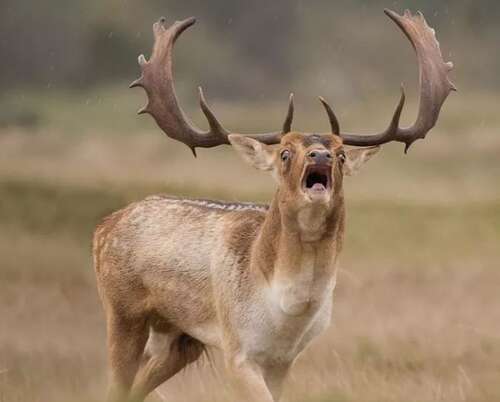 宝贝的一句话，祝你开心1