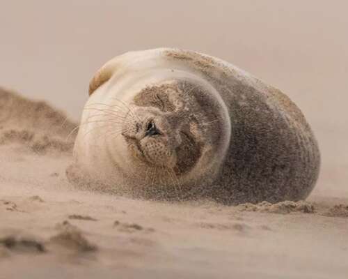 婴儿祝你幸福的句子2