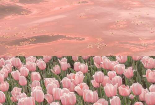 天气凉爽，关心短句子